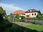 Třibřichy